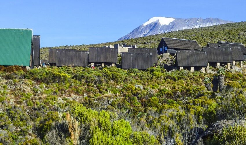 7 Days Mt Kilimanjaro Marangu Route (Cocacola Route) thumbnail 2