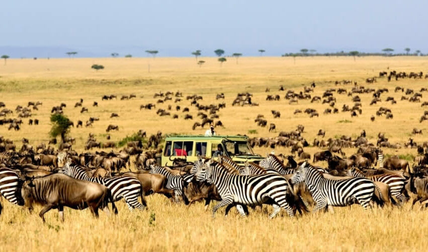 8 Days 7 Nights Tanzania Experience With Materuni Cultural Tour thumbnail 2