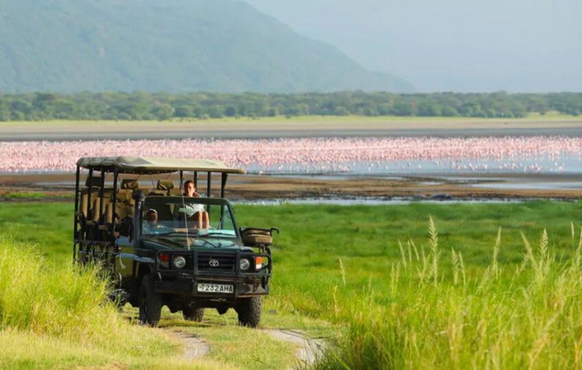 8 Days 7 Nights Tanzania Experience With Materuni Cultural Tour thumbnail 4