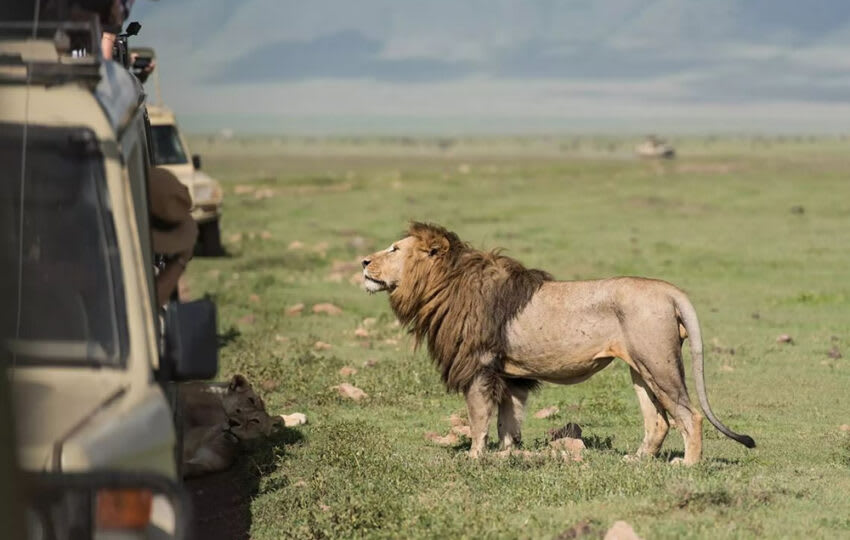 Rwanda Premium Africa Safari 5 Days 4 Nights thumbnail 2