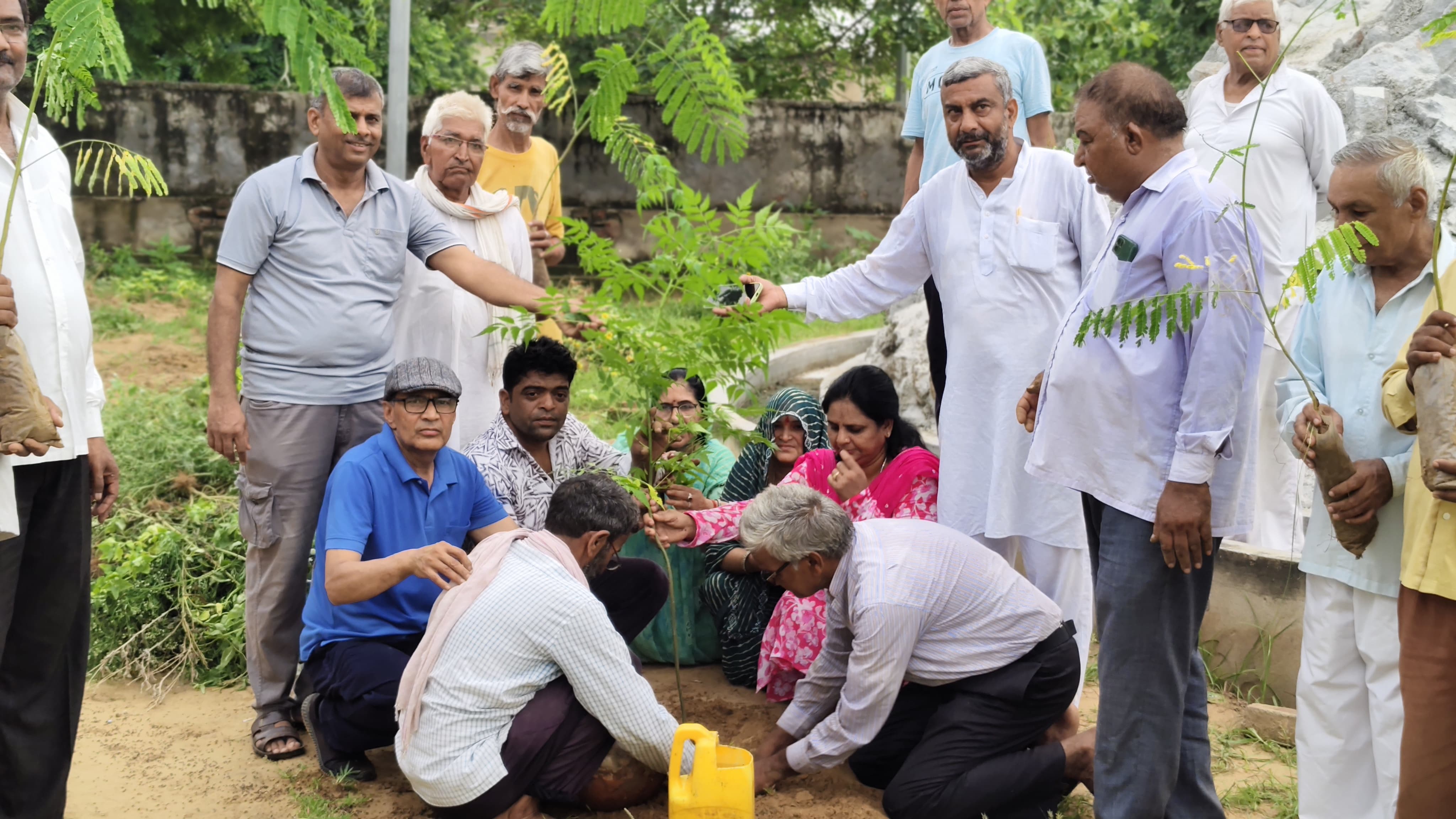 विश्व पर्यावरण दिवस पर सैनी माली समाज के नेतृत में हुआ वृक्षारोपण 