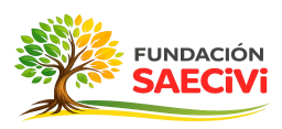 Fundación SAECiVi