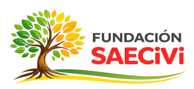 Fundación SAECiVi