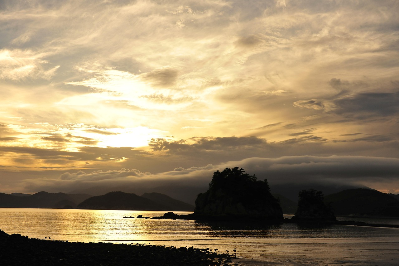 Joe Biden speaking on the economy and Bidenomics with inflation data in background