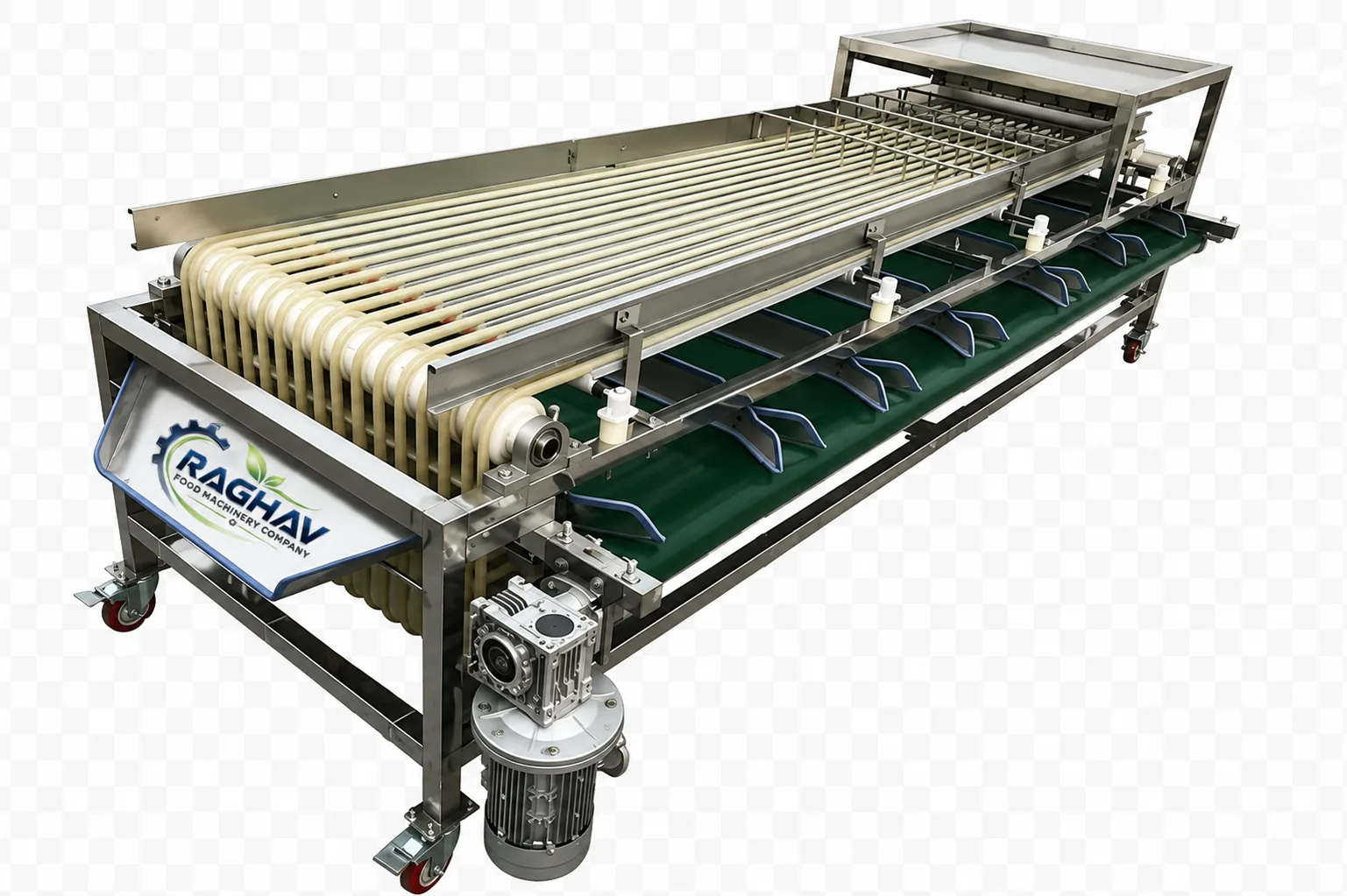 Raghav walnut grader machine