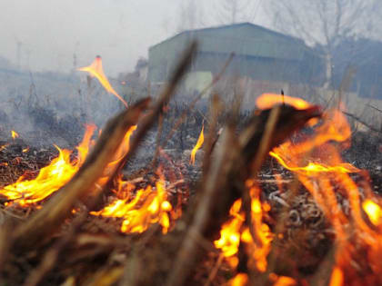 Обращение к гражданам: важные обновления и рекомендации