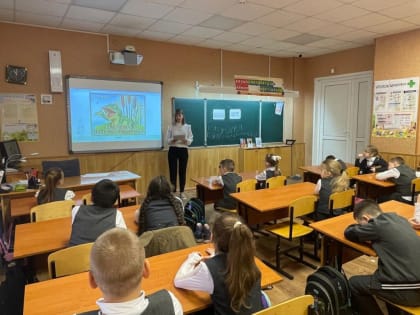 По следам лягушки-путешественницы