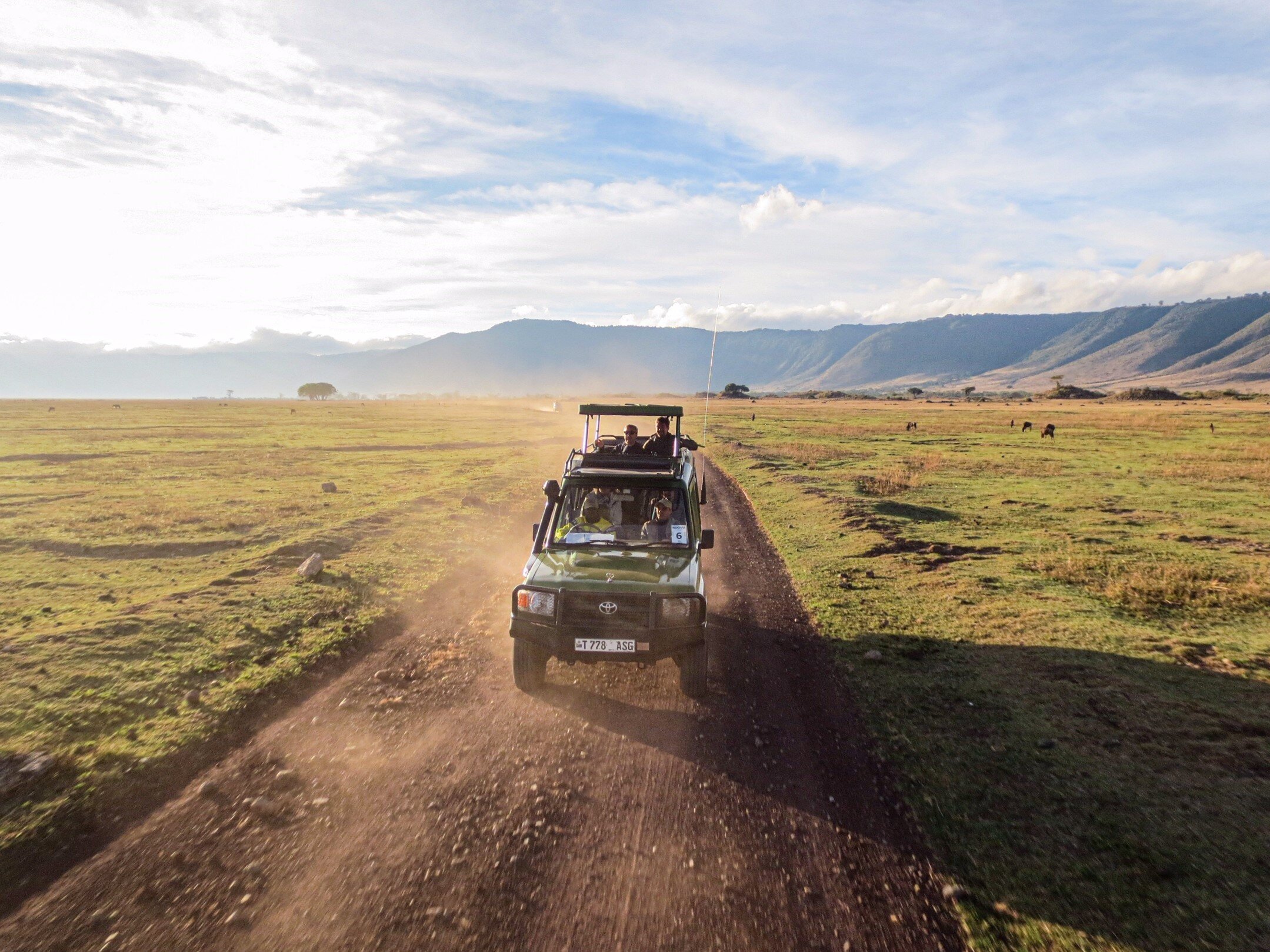 Ngorongoro
