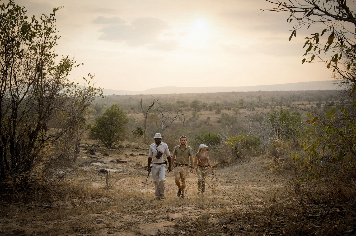 Others/Yet to decide