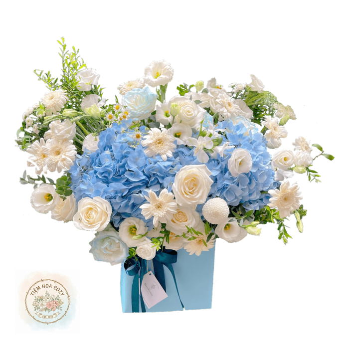 Lãng Hoa Cẩm Tú Cầu Xanh