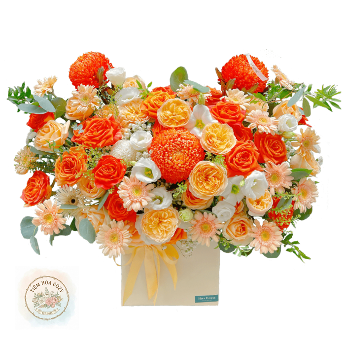 Lãng Hoa Chúc Mừng 2