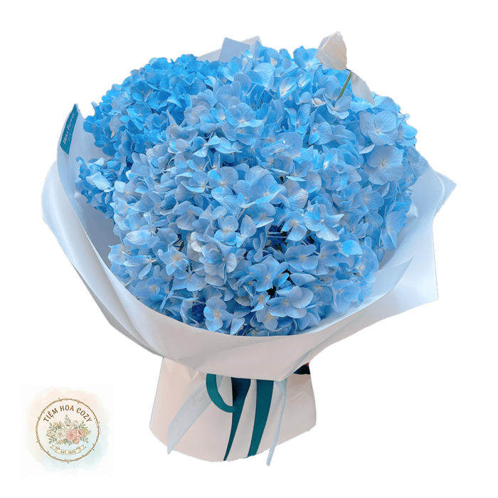 Bó Hoa Blue Melody