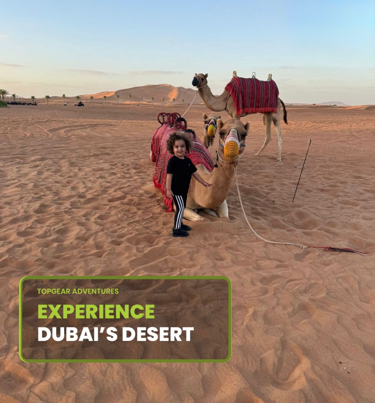 Dune Bashing and Quad Biking Adventures - TopGear Adventures Dubai