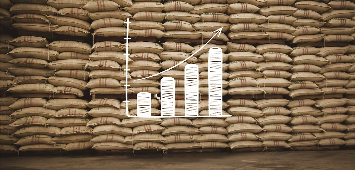 Green Arabica Coffee Beans – Supremo Quality - Producto disponible en colombiatodo.com Green Arabica Coffee Beans – Supremo Quality