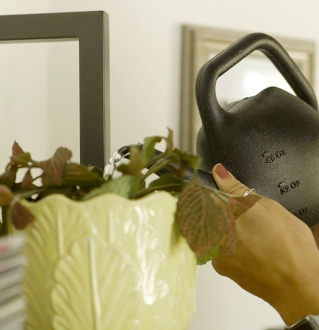 watering plants