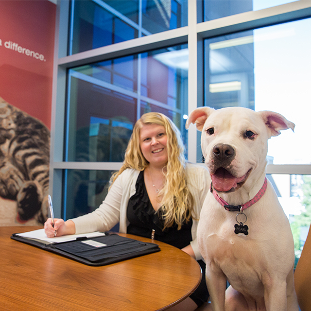 Female with her dog and cat sitting at a desk at work.