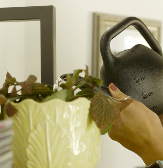 watering plants