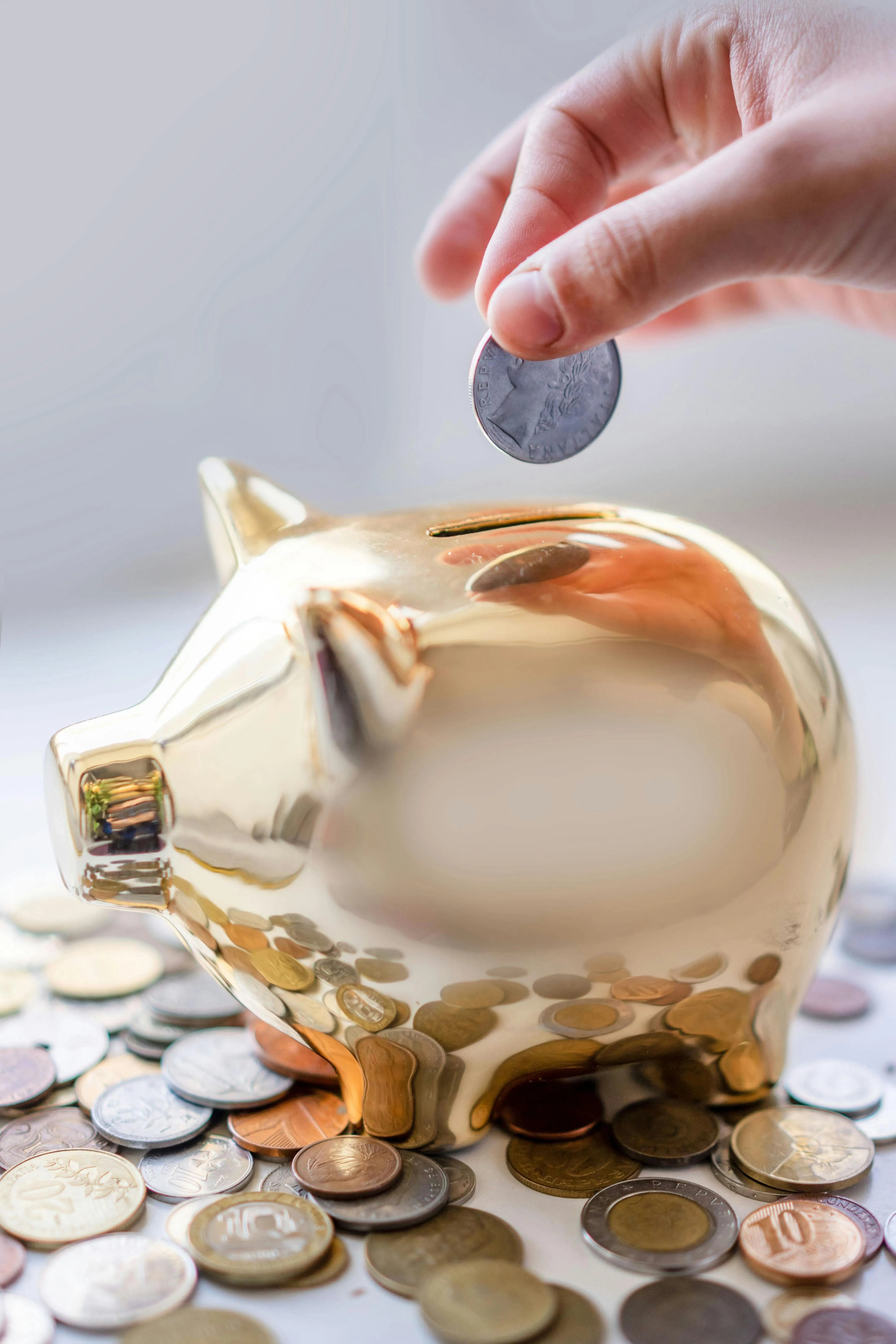 piggy-bank