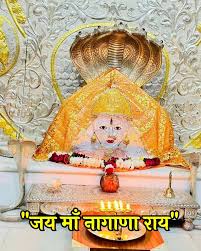 नागणेची माता मंदिर जोधपुर दर्शन