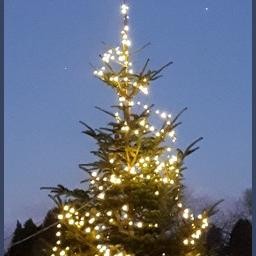 24/7 Radio Christmas