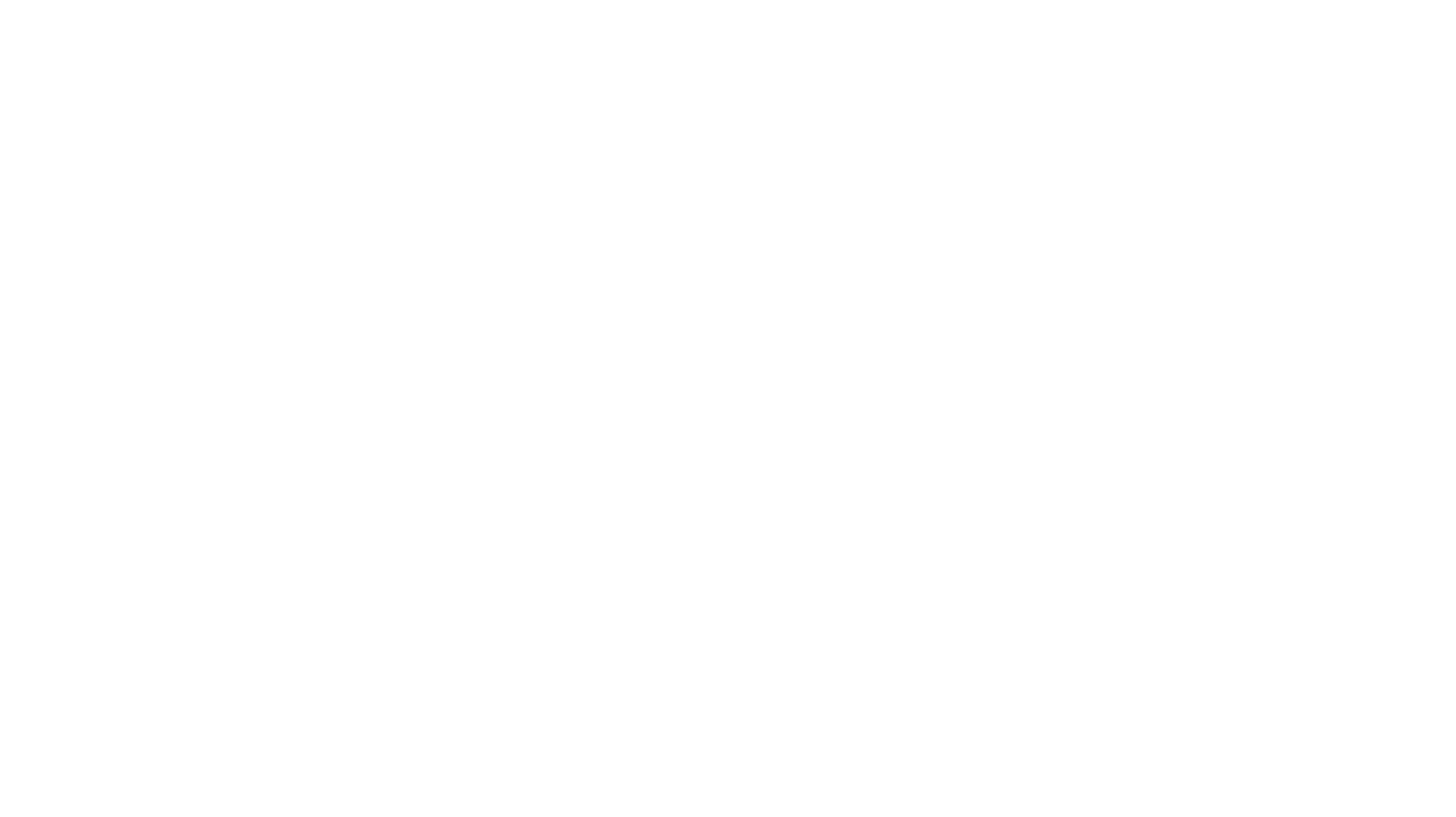 Logo for partner: Cato Networks