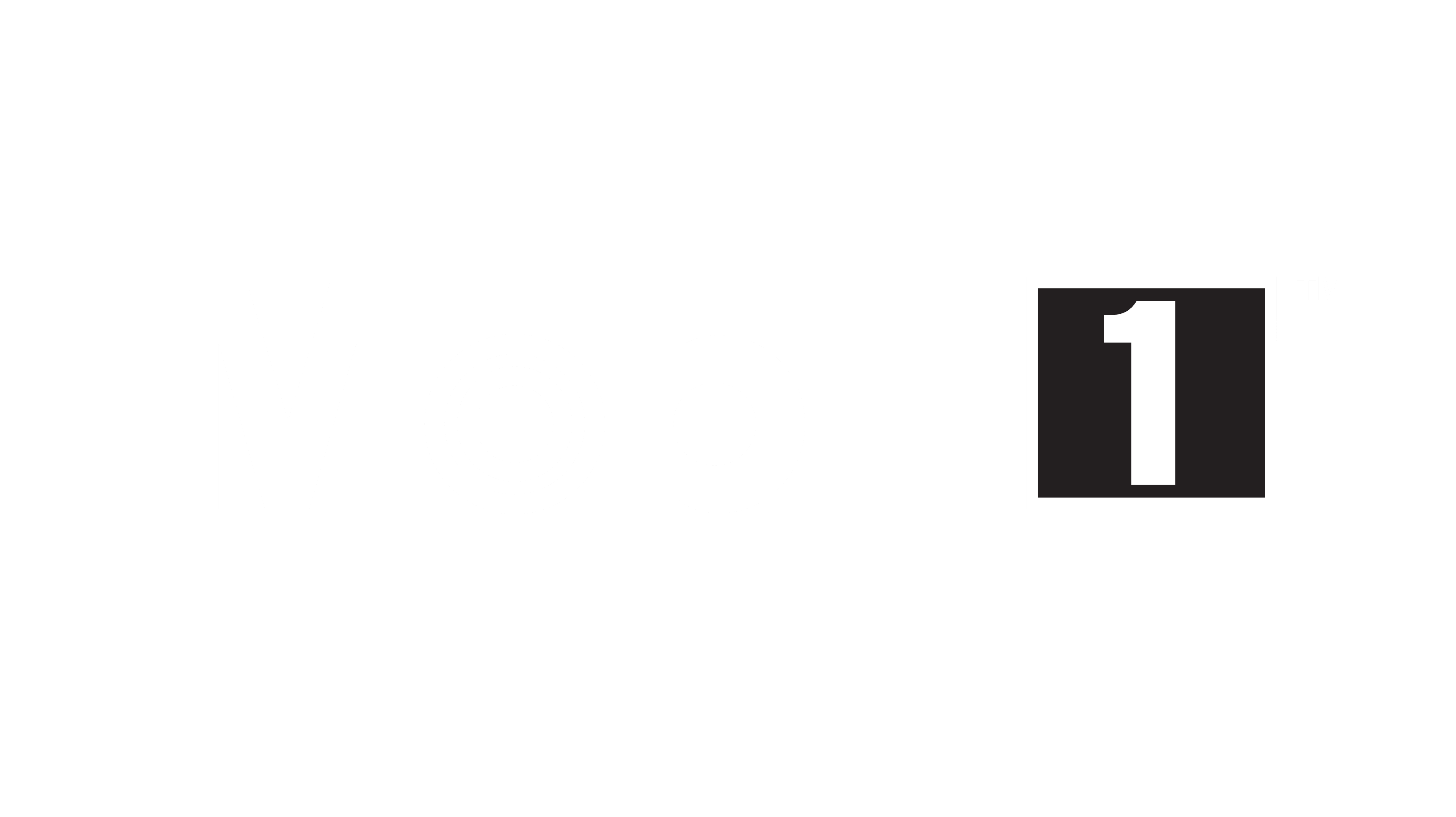 Logo for partner: Mobil1