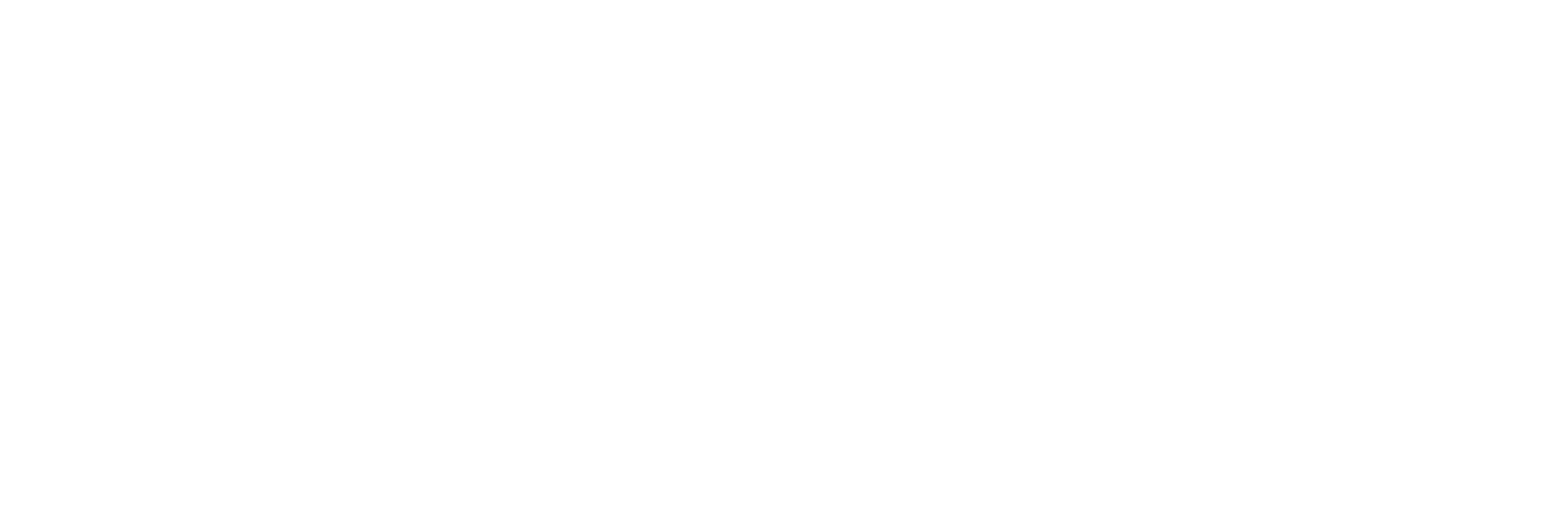 Logo for partner: Porsche Netherlands