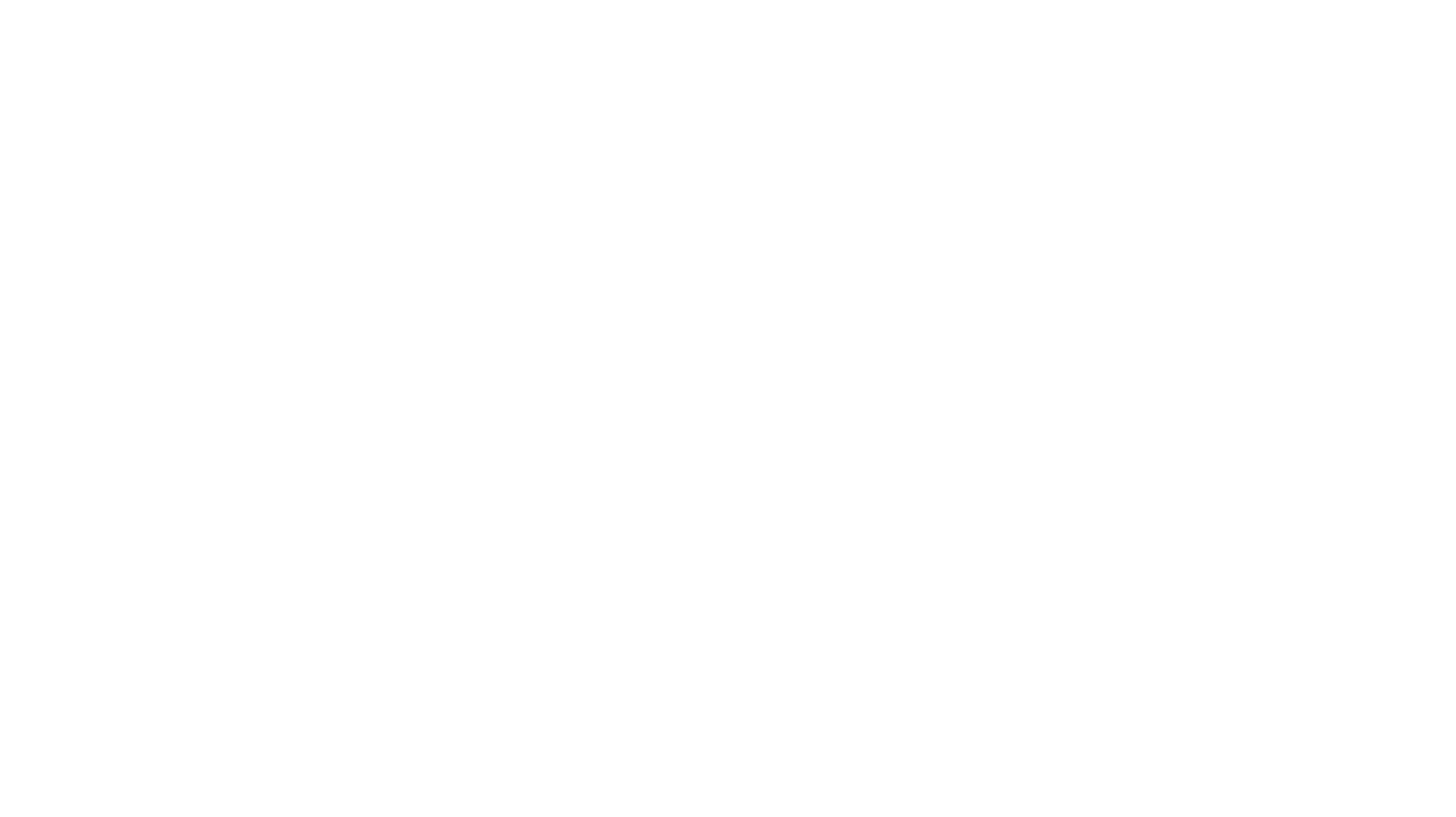Logo for partner: San Benedetto - IT