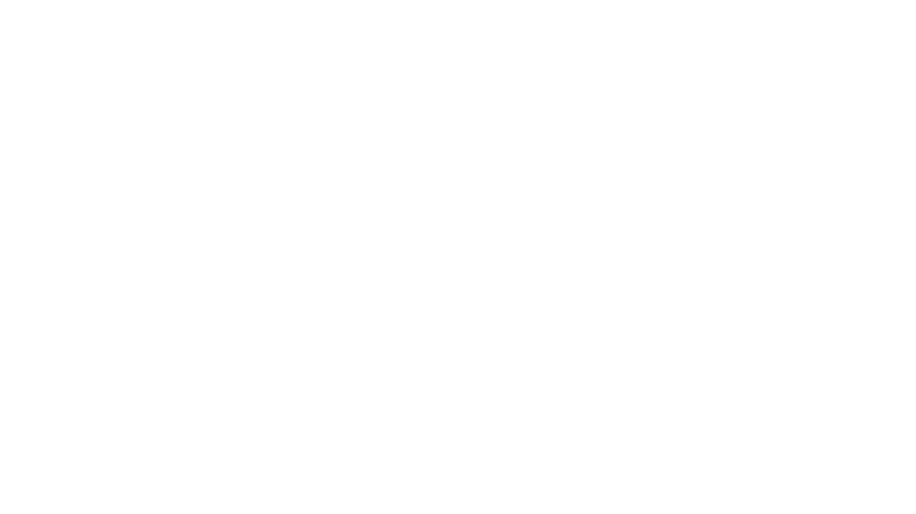 Logo for partner: Suzuyo - JP