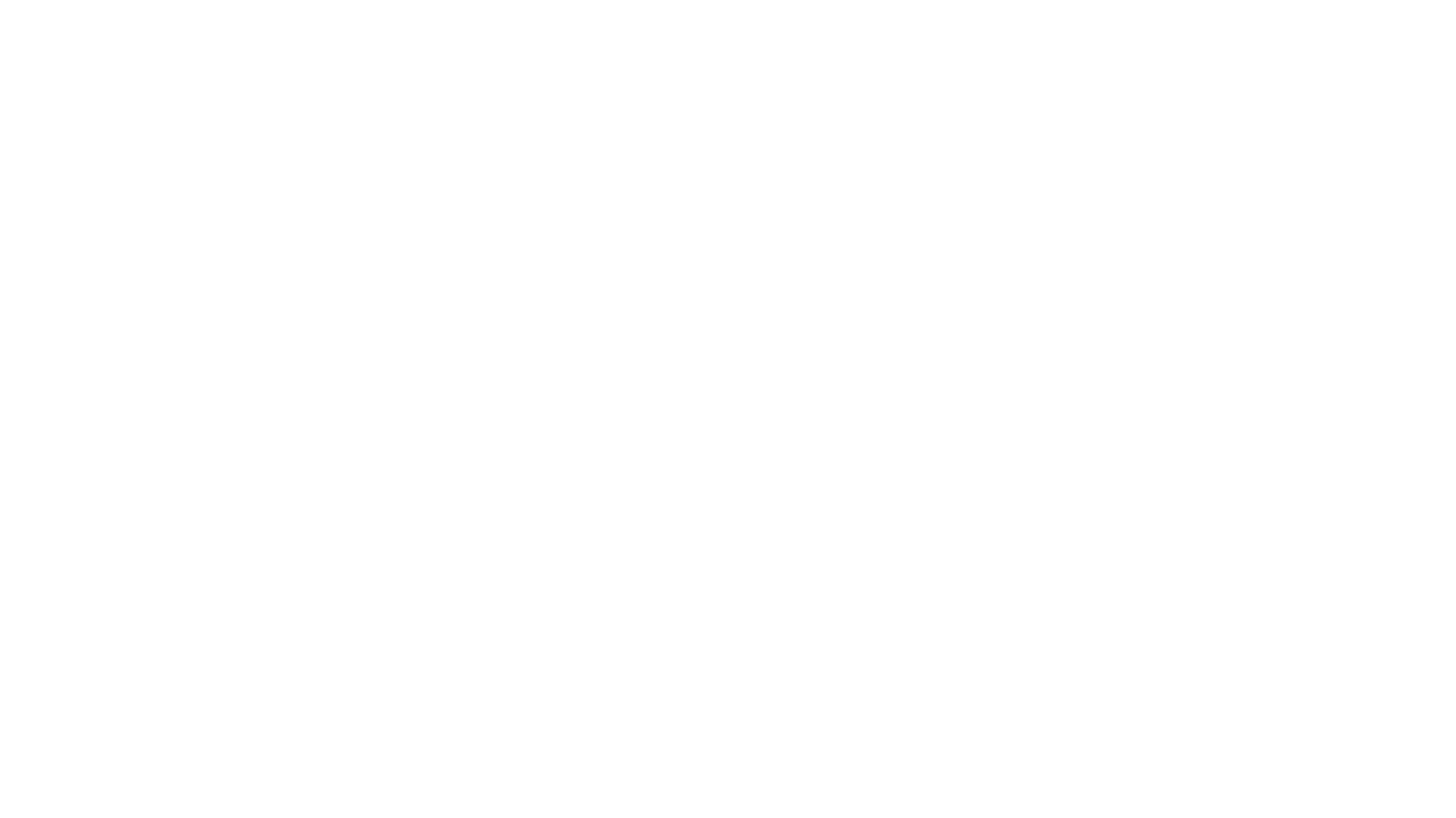 Logo for partner: Caffé Borbone - IT