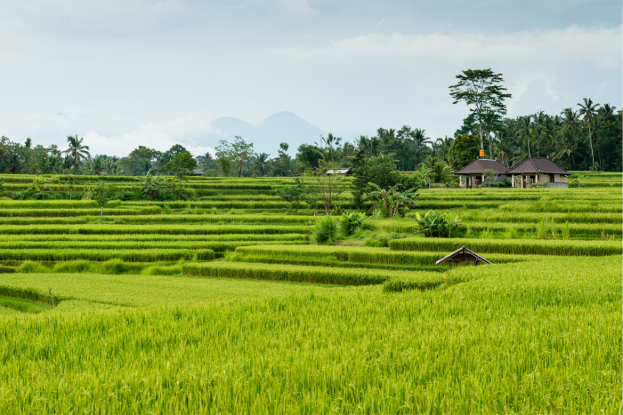 Karangpandan