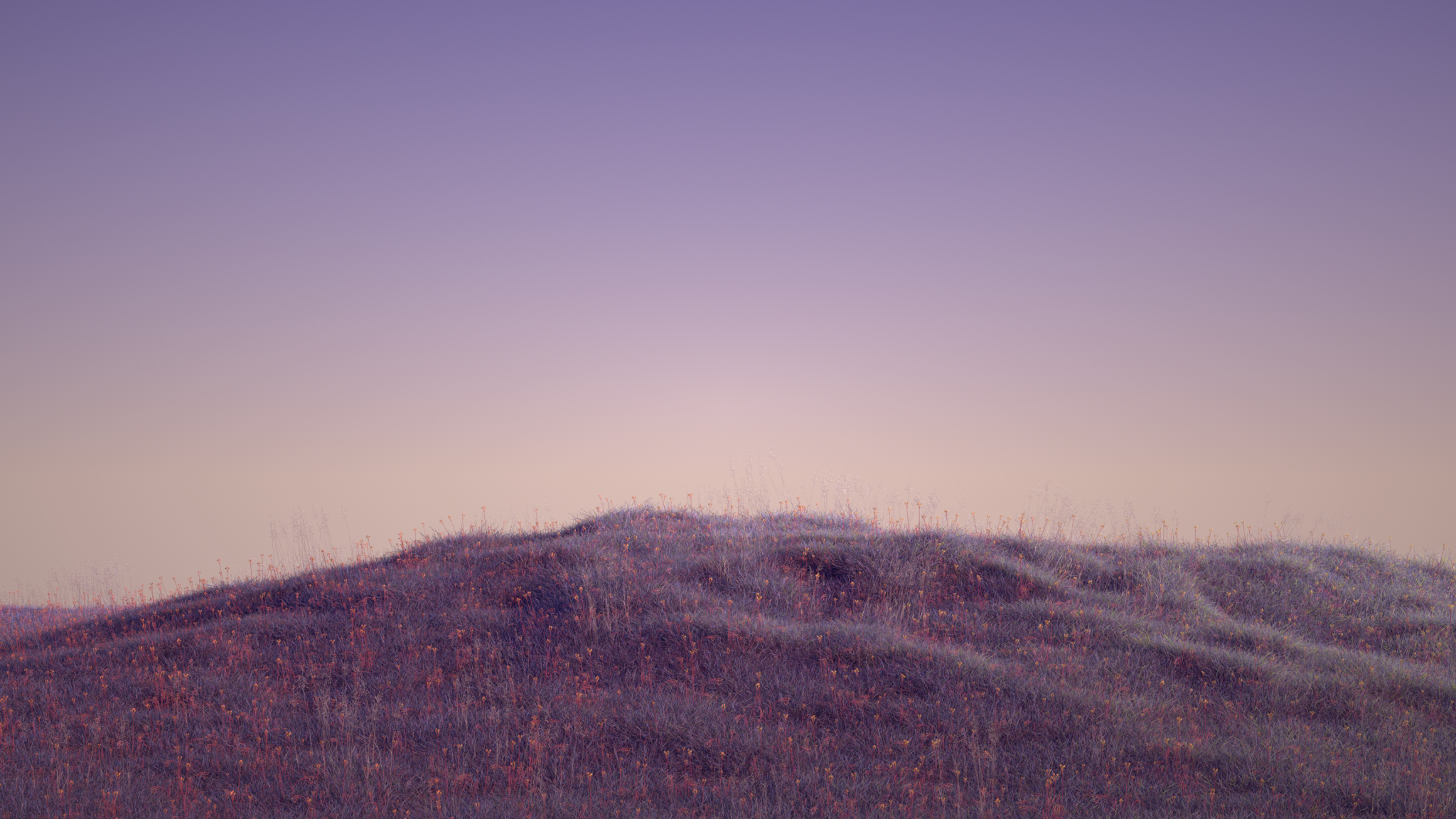 Background image for reverse