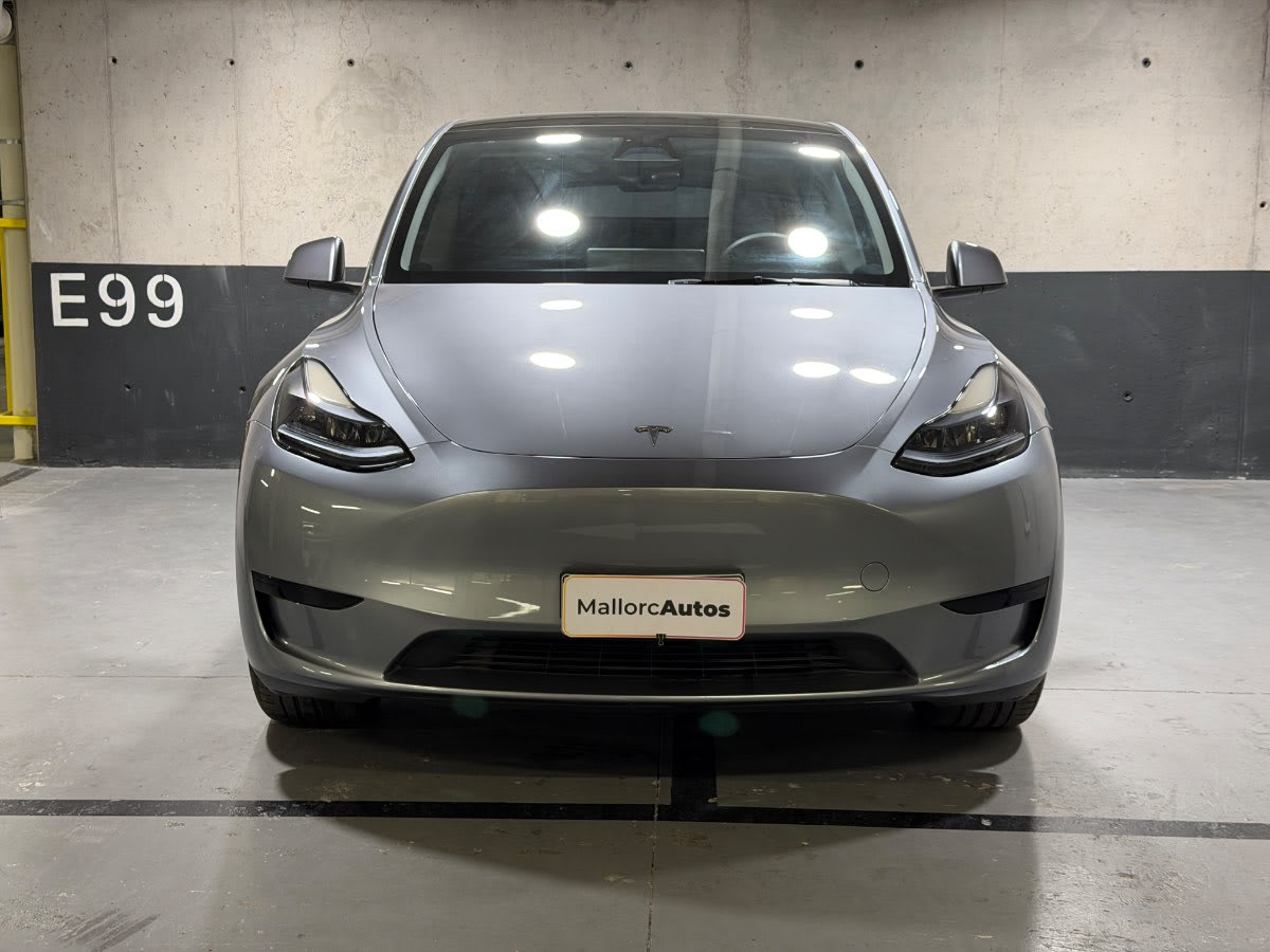 2025 Tesla MODEL Y MODEL Gris Plata - Miniatura 2