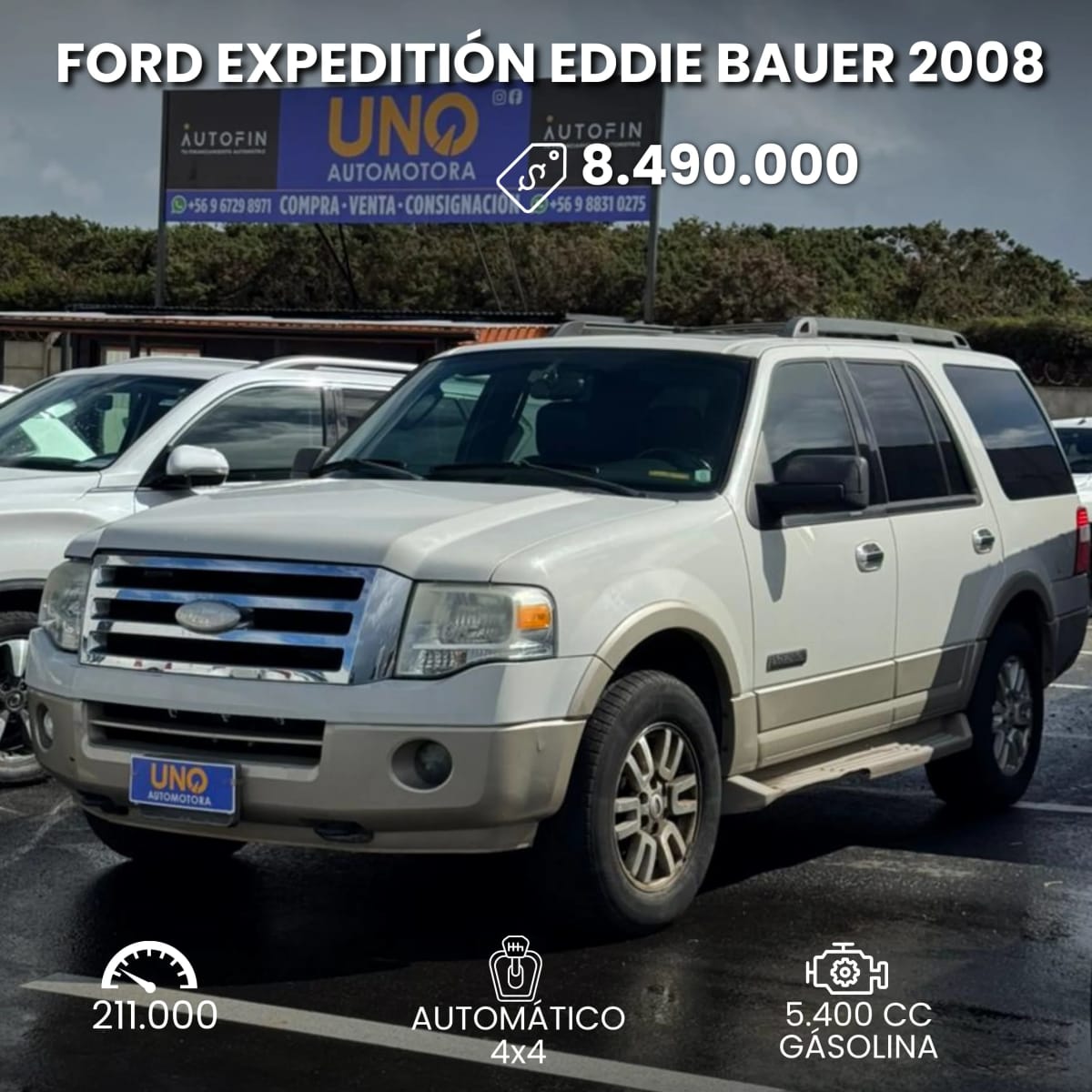2008 Ford Expedition Eddie Bauer - Imagen 1