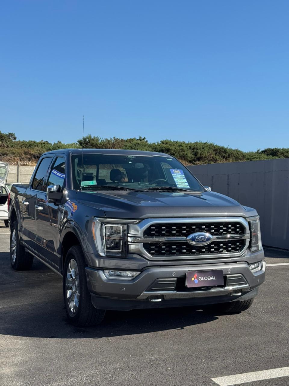 2021 Ford F150 Platinium v6 - Miniatura 3