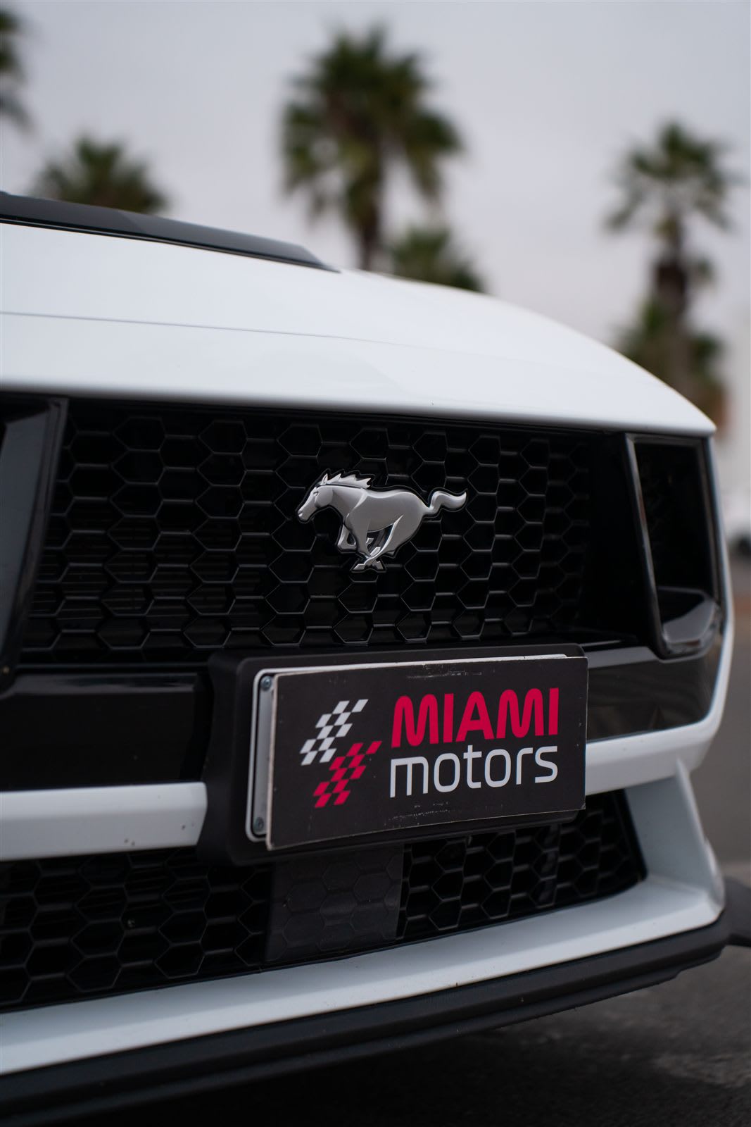 2025 Ford Mustang GT Blanco - Miniatura 3