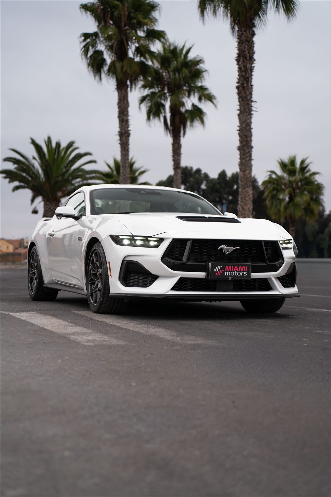 2025 Ford Mustang GT Blanco - Miniatura 6