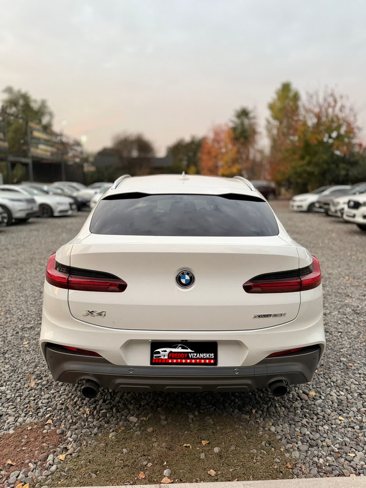 2019 BMW X4 XDRIVE20I SPORT - Miniatura 5