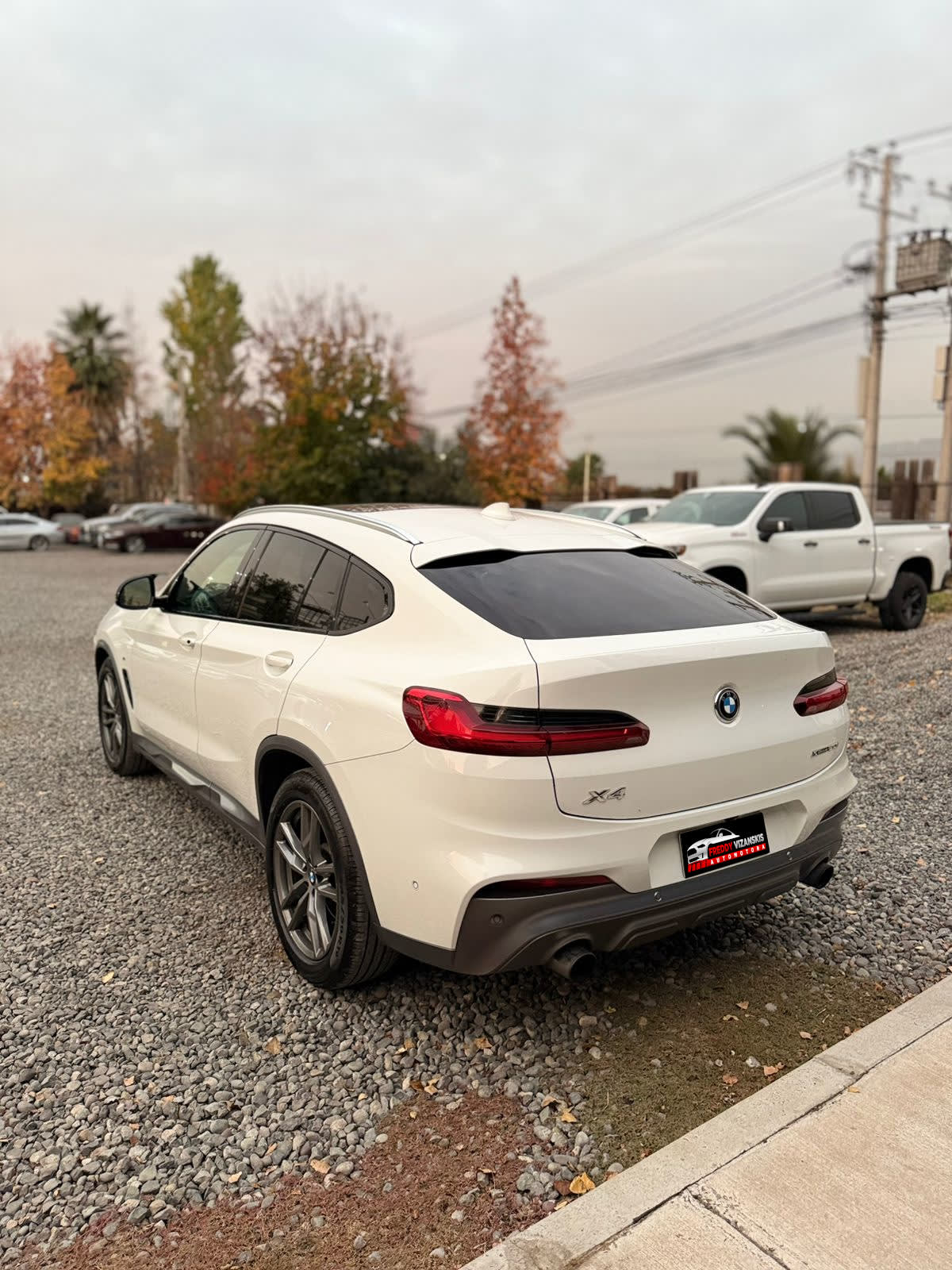 2019 BMW X4 XDRIVE20I SPORT - Miniatura 6