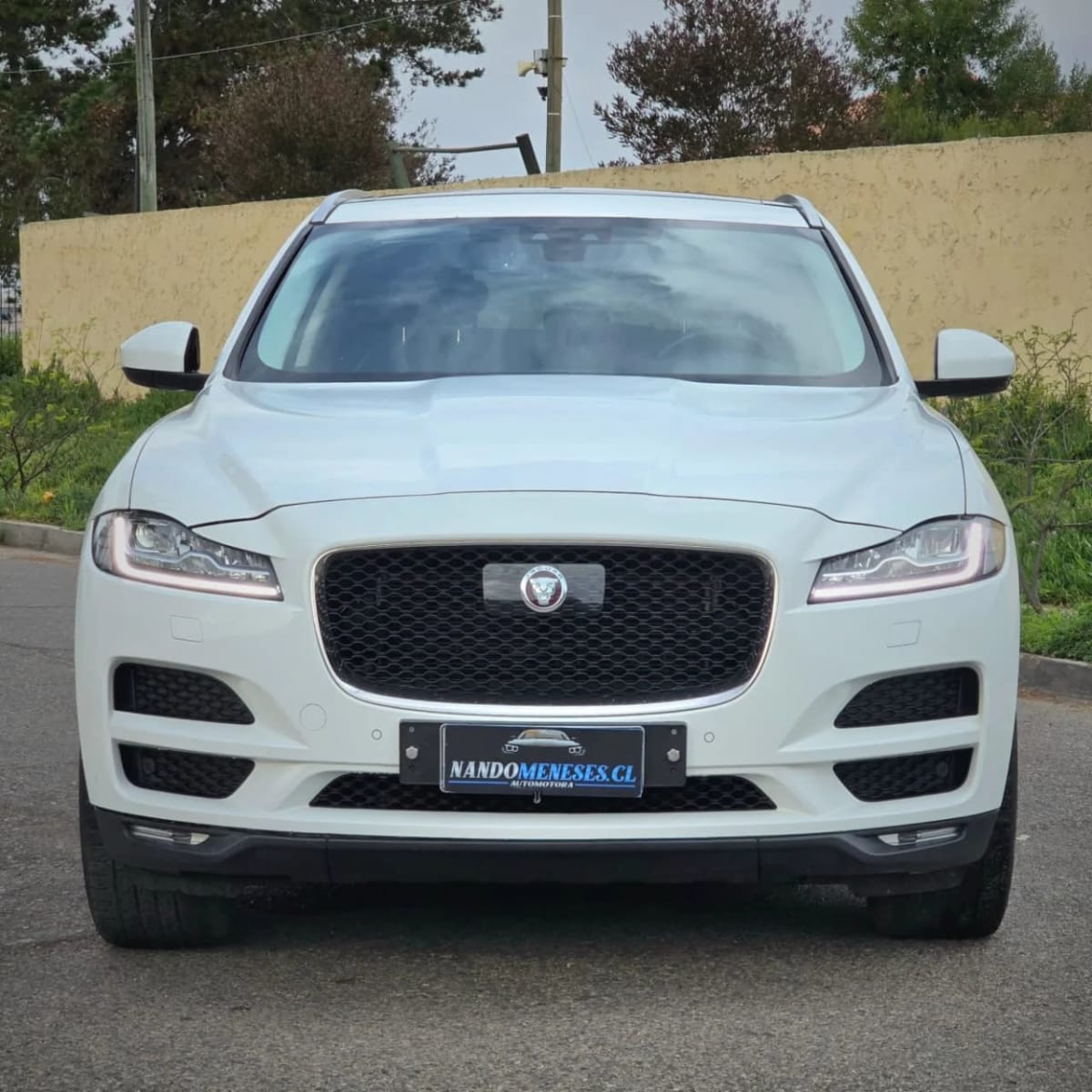2019 Jaguar F-Pace - Miniatura 3