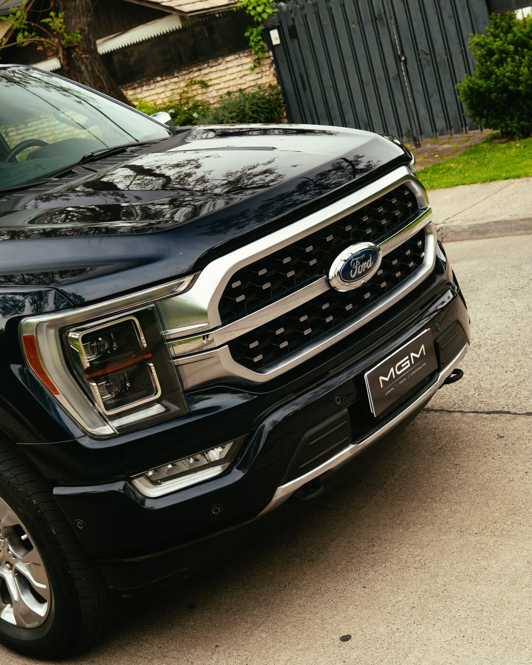 2023 Ford F-150 PLATINUM 3.5 Azul - Miniatura 10