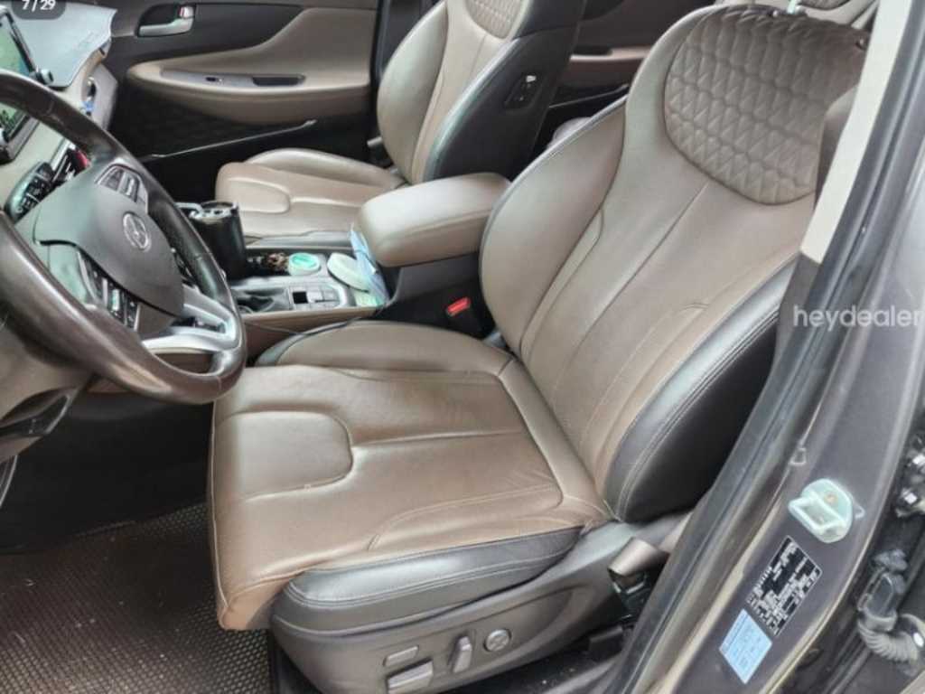 2019 Hyundai Santa Fe TM Gris - Miniatura 6