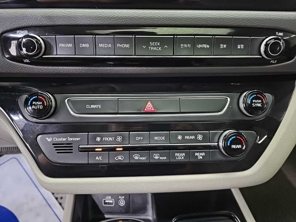2016 Kia Carnival Diesel Blanco - Miniatura 10