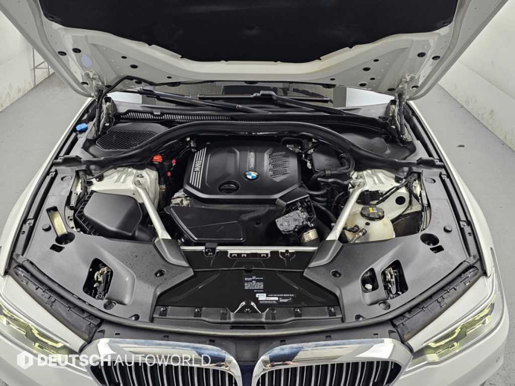 2020 BMW Serie 5 5 Series Ref 428707 Diesel - Miniatura 6