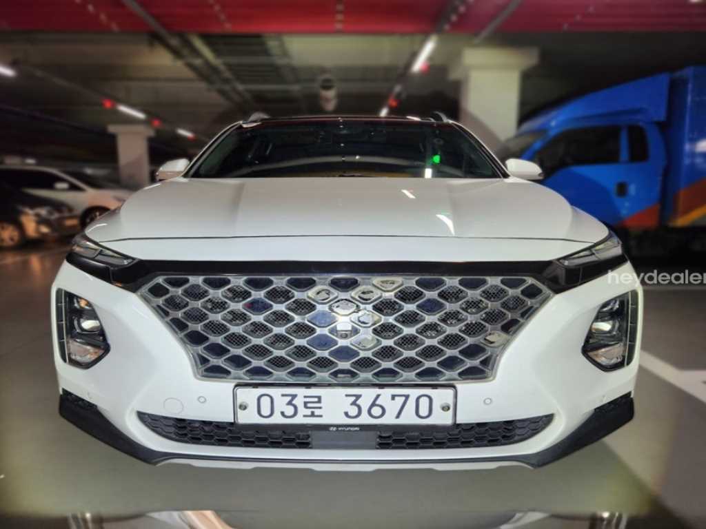 2019 Hyundai Santa Fe TM - Imagen 1