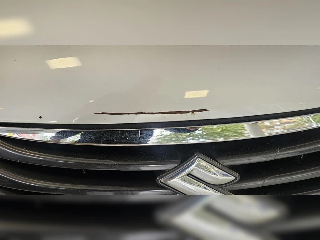 2016 Suzuki SS S-CROSS - Miniatura 8
