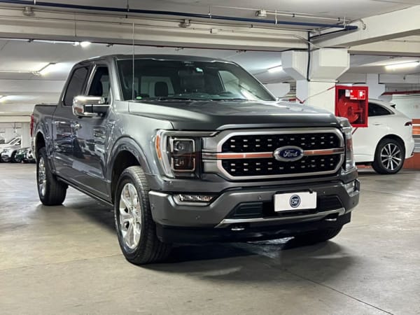 2023 Ford F-150 3.5 Gris