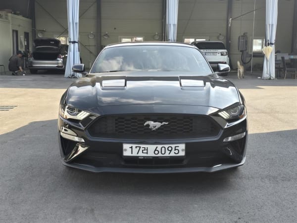 2019 Ford Mustang en venta - importación a pedido