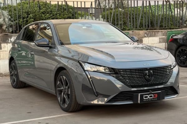 2024 Peugeot 33 308