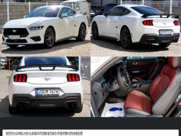 2024 Ford Mustang en venta - importación a pedido